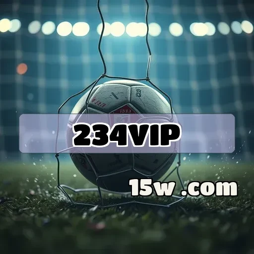 234vip.com Segurança